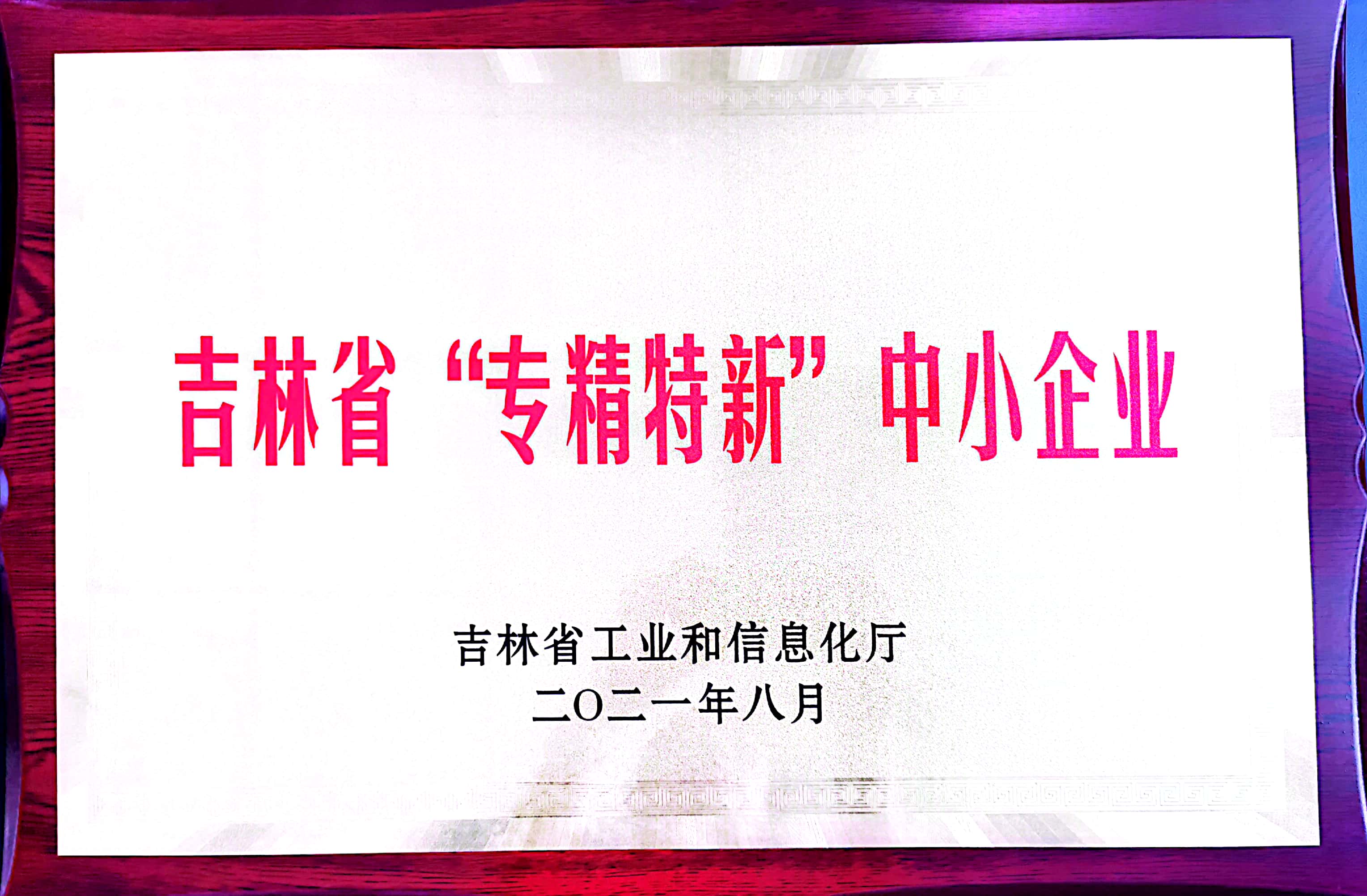 吉林省“专精特新”中小企业